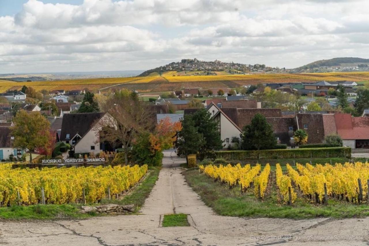 "La Veranda" Gite Verdigny Dış mekan fotoğraf